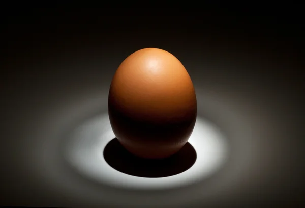 Светлое Яйцо Темноте — стоковое фото