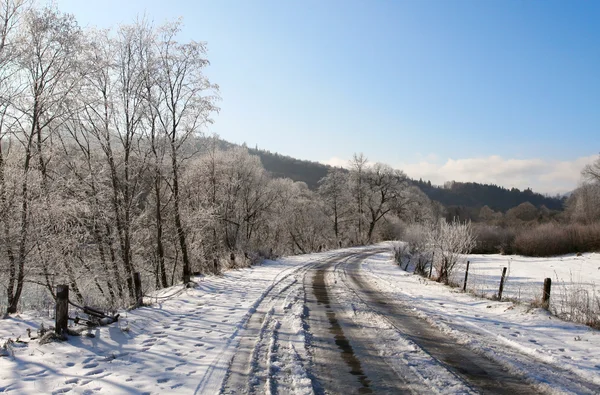 Paisaje Invernal Carretera Árboles Cubiertos Nieve —  Fotos de Stock