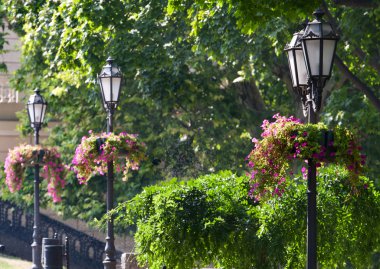 Fener bir çiçek açan, Bahar Parkı