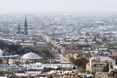 lviv, Ukrayna orta kesiminde kış manzarası