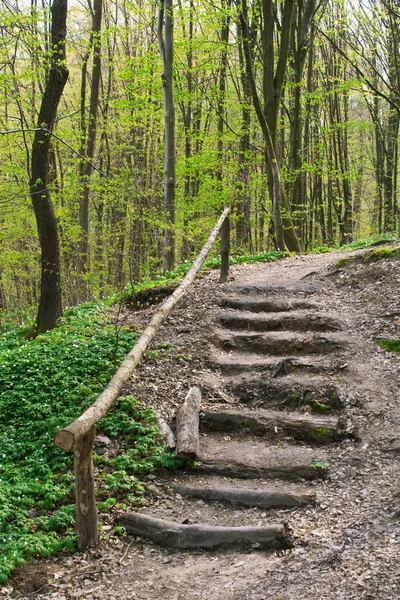 Ξύλινη σκάλα σε ένα λόφο μέσα σε ένα δάσος άνοιξη — Φωτογραφία Αρχείου