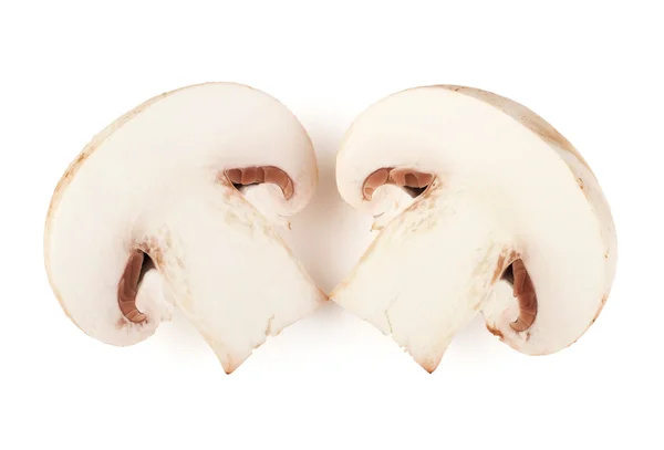 Dois cogumelos champignon fatiados no fundo branco — Fotografia de Stock
