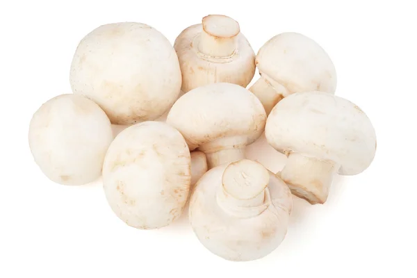 흰색 배경에 고립 된 신선한 champignons — 스톡 사진