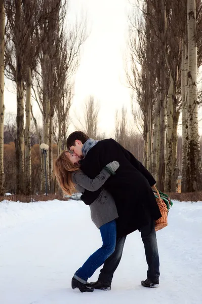 stock image Young couple kissing in the poplar alley