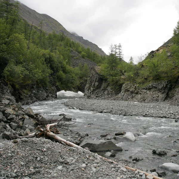 stock image View of river in boreal coniferous forest