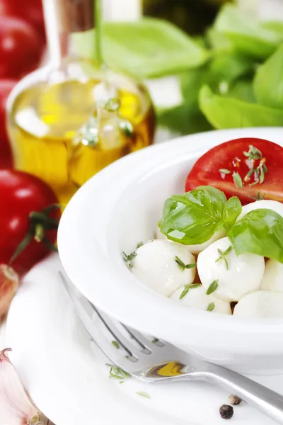Italiaanse tomaat mozzarella close-up — Stockfoto
