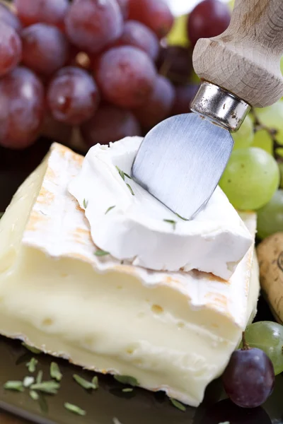 奶酪拼盘 — 图库照片