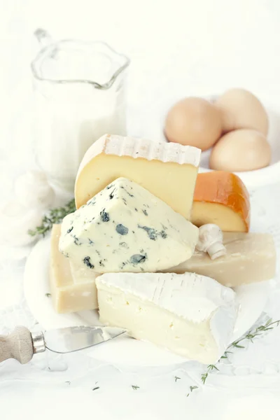 Sýr, vejce a mléko — Stock fotografie