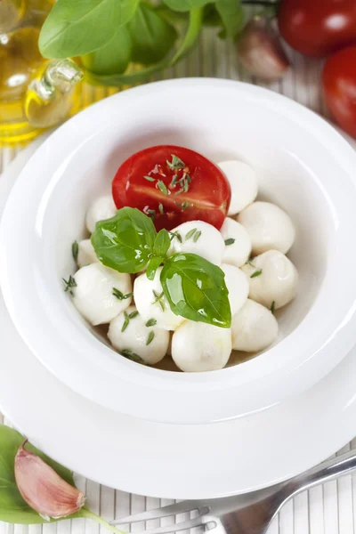 Mozzarella tomate italienne en gros plan — Photo
