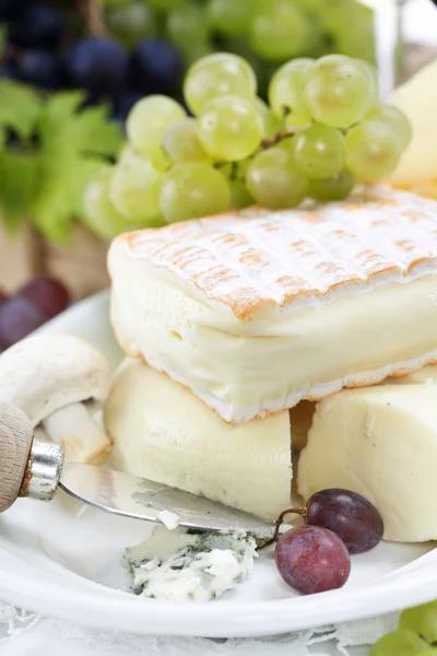 Trauben und Käse — Stockfoto