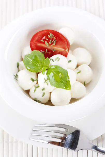 Italian tomato mozzarella close up — Stock Photo, Image