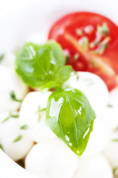 Mozzarella de tomate italiano de perto — Fotografia de Stock