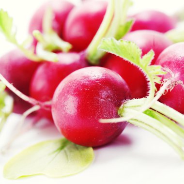 Radish clipart