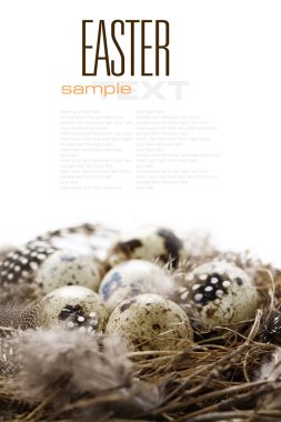 Birds nest with eggs (easter composition) With sample text clipart