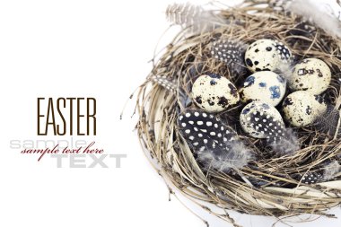 Birds nest with eggs (easter composition) clipart