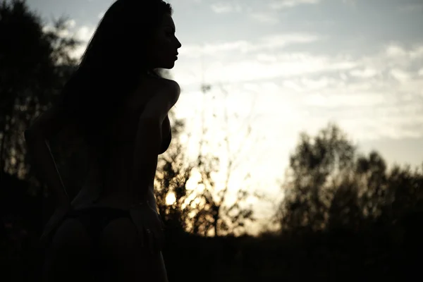 Sexuelle Schönheit im Bikini posiert rückläufig. — Stockfoto