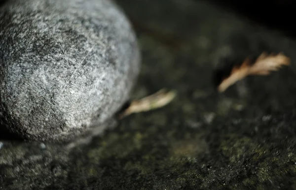 鹅卵石的石头上 — 图库照片