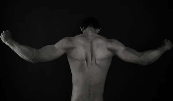 Imagen clave baja de espalda masculina muscular —  Fotos de Stock