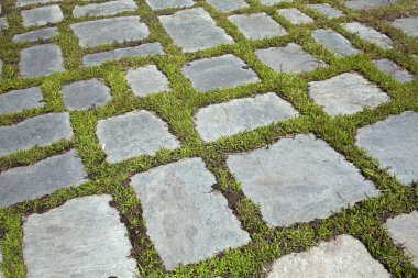 Grass and stone slabs clipart