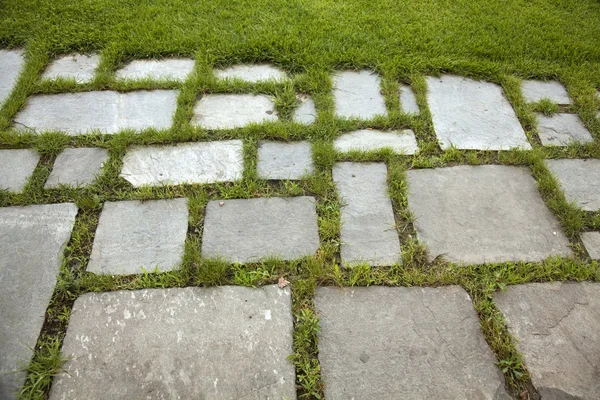 草や石造りの平板 — ストック写真