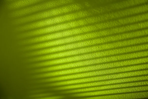 พื้นหลังนามธรรมสีเขียว — ภาพถ่ายสต็อก