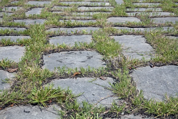 잔디와 돌 석판 — 스톡 사진