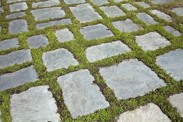 Grass and stone slabs — Stock Photo, Image
