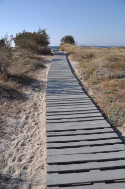 Beach yürüme yolu