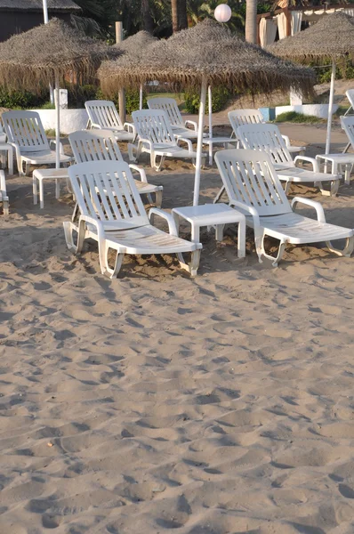 Пляжні стільці та парасольки — стокове фото