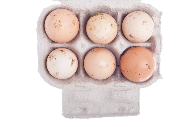 鸡蛋在纸箱 — 图库照片