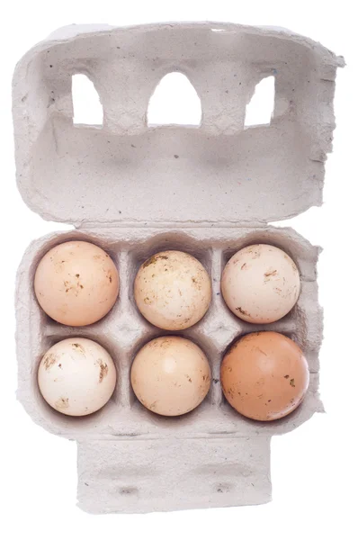 Ägg i kartong — Stockfoto