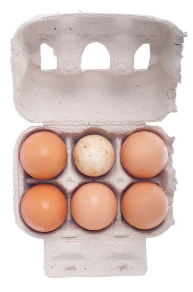 卵のボックス、1 つの違い — ストック写真