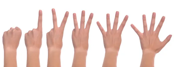 Woman hands counting — Stock Photo, Image