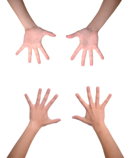 stock image Woman hands