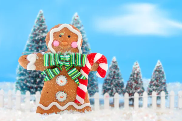 Christmas trees and gingerbread man — Stock Photo, Image
