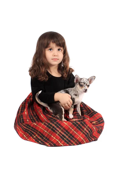 Mała dziewczynka i chihuahua — Zdjęcie stockowe