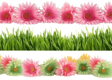 Springtime bloom borders clipart