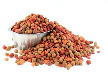 Bowl overflowing with dogfood clipart