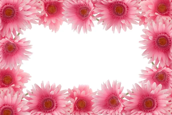Barevné jarní Květinový okraj — Stock fotografie