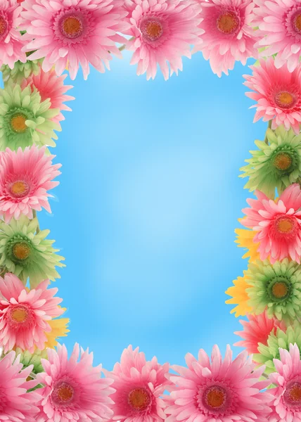 Colorful floral spring border — Stock Photo, Image