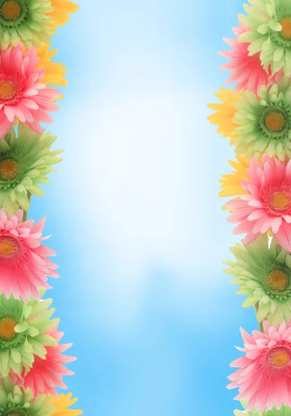 Borda de primavera floral colorido — Fotografia de Stock