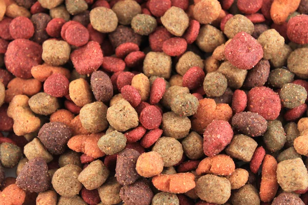 Hund mat bitar bakgrund — Stockfoto