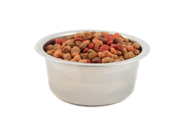 Dogfood의 그릇 — 스톡 사진