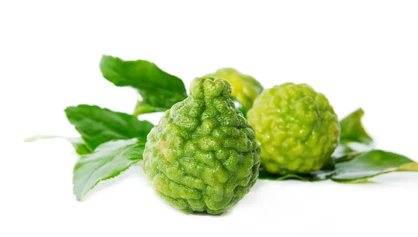 Färsk grön lime. kafir — Stockfoto