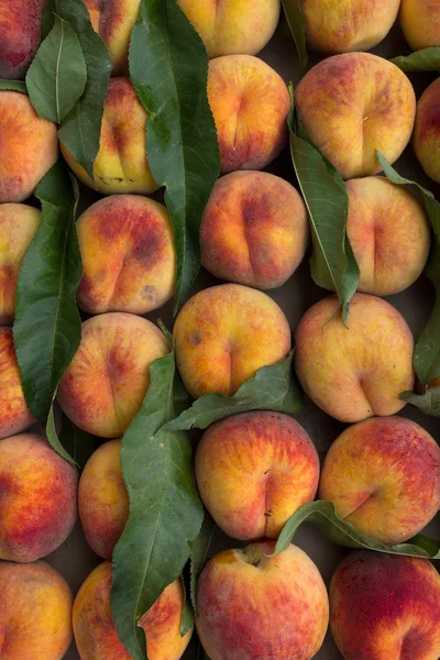 Pêssegos de frutas maduros — Fotografia de Stock