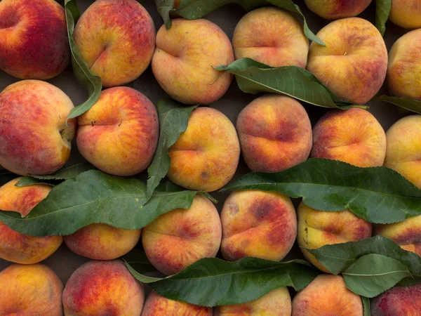 Fruit peaches ripe — Stock Photo, Image