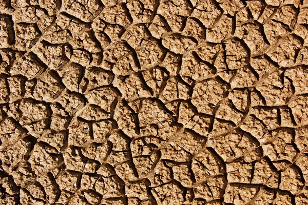 Cracks clay ground — Stock Photo, Image
