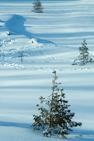Ağaç Kış Alan — Stok fotoğraf
