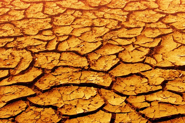 Cracks ground disaster desert — Stock Photo, Image