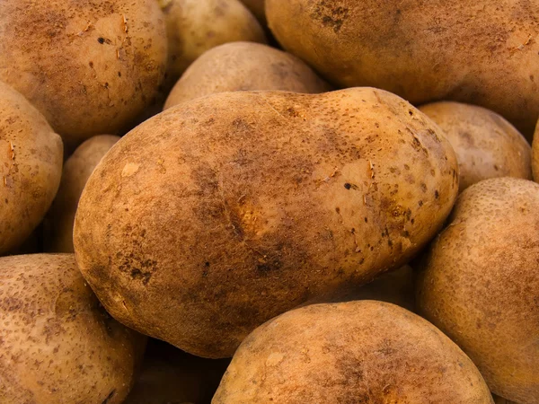 Aardappel Knollen Achtergrond Verse — Stockfoto